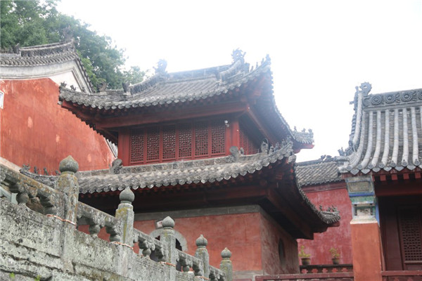 今泰裝飾出游記 | 我們有一千種姿勢(shì)玩出精彩！(圖5)