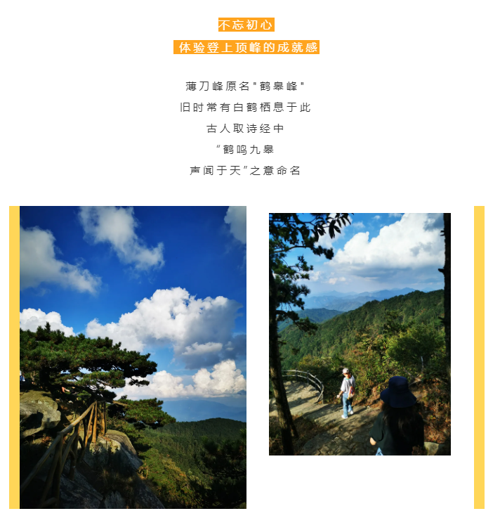 秋天了，來一場成年人的秋游吧(圖2)