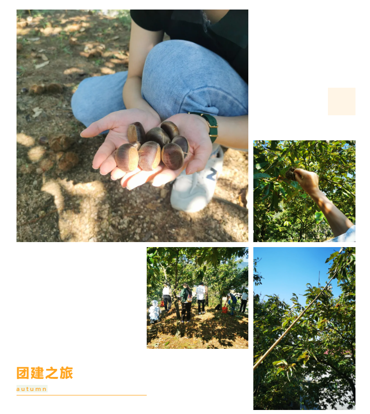 秋天了，來一場成年人的秋游吧(圖6)